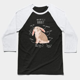 Rabbit Anatomy Baseball T-Shirt